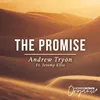 About The Promise Song