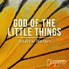 About God Of The Little Things Song