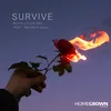 About Survive Song