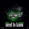 About Need to Know Song