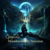 About Moonbeams In Streams Song