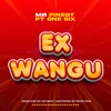 About EX Wangu Song