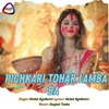 About Pichkari Tohar Lamba Ba Song