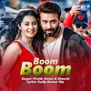 About Boom Boom Song