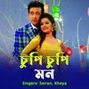 About Chupi Chupi Mon Song