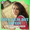 About Diya Raja But Jayedi Song