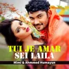 About Tui Je Amar Sei Laila Song