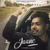 About Jaane Song