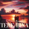About Tere Bina Song