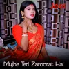 About Mujhe Teri Zaroorat Hai Song