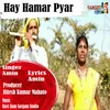 About Hay Hamar Pyar Song