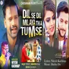 About Dil Se Dil Melaya Tha Tumse Song