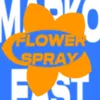 About Flower Spray Song