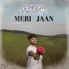 About Meri Jaan Song