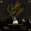 About Peace [CHEDDAR CHASE] Song