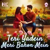 About Teri Yadein Meri Bahon Mein Song