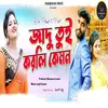 About Jabo Ami Tor Biha Te Song