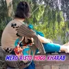 About MERO RISTO HOGO KHARAB Song