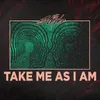 About Take Me as I Am Song