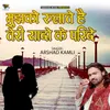 Mujhko rulate teri yadon ke parindey