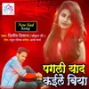 About Pagli Yaad Kaile Biya Song