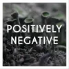 About Positively Negative Song