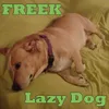 Lazy Dog