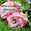 About What Love Brings Song