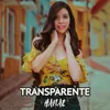 About Transparente Song