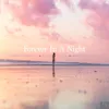 About Forever in a Night (feat. RJ Weche) Song