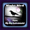 About Night Bird Song