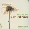 About Remembrance Song