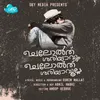 About Cheloth Shariyavum Chelothu Sheriyavulla Song