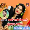 About Payi Payi Nighalo Tujhya Ga Bhetila Song