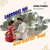 About Zaroorat Hai Song