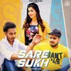 About Sare Sukh Song
