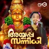 About Ayyappa Sannidhi Song