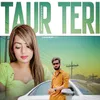 About Taur Teri Song
