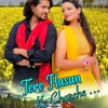 About Tere Husan Ke Charche Song