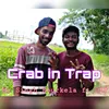 About Crab in Trap Song