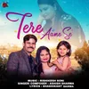 About Tere Aane Se Song