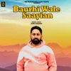About Baurhi Wale Saayian Song
