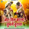 About Mera Dil Kanha Tumne Churaya Song