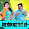 About Mera Joban Dhar Gandase Ki Song