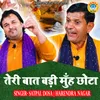 About Teri Baat Badi Muh Chhota Song