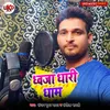 About Dhwaja Dhari Dham Song