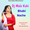 Dj Male Kaki Bhabi Nache