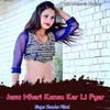 About Janu Mhari Kunsu Kar Li pyar Song