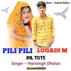 About Pili pili Lugadi m Dil Tu te Song