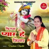 About Kitna Pyara Hai Shringar Song